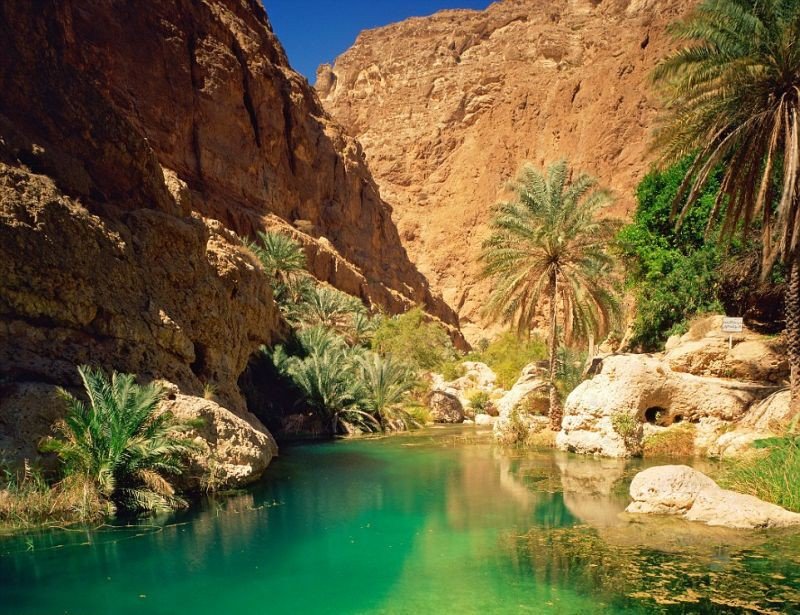 Природа Омана