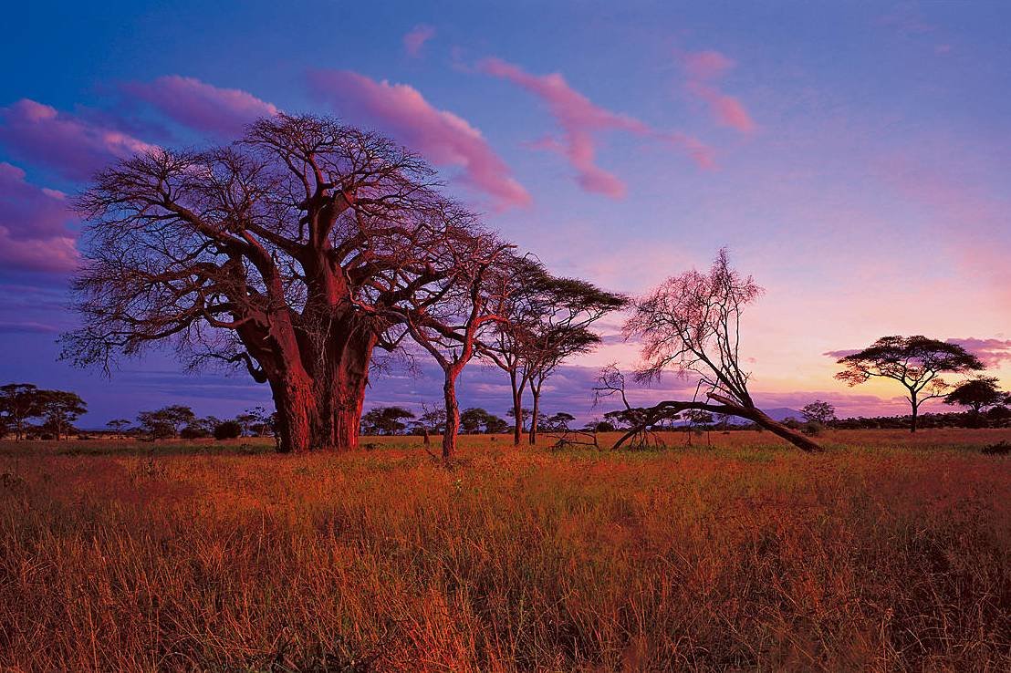 Природа Танзании