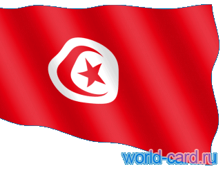 Флаг туниса анимационный gif