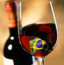 местные вина Бразилии