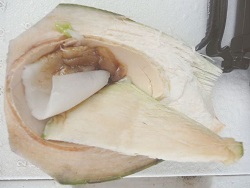кокосовое шашими