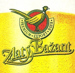 Местное пиво ZlatyBazant