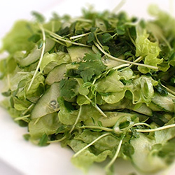 Вьетнамский зеленый салат