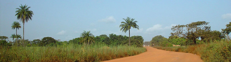 a-dirt-road-in-gambia-2722.jpg