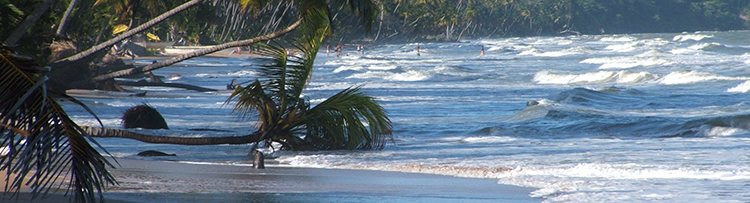 Mayaro_Beach_10;_Trinidad_&_Tobago.jpg