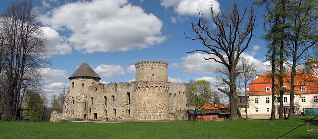 Венденский замок